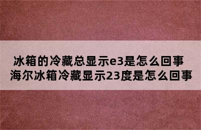 冰箱的冷藏总显示e3是怎么回事 海尔冰箱冷藏显示23度是怎么回事